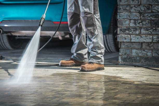 Best Roof Cleaning and Mildew Removal in Gilbert, AZ