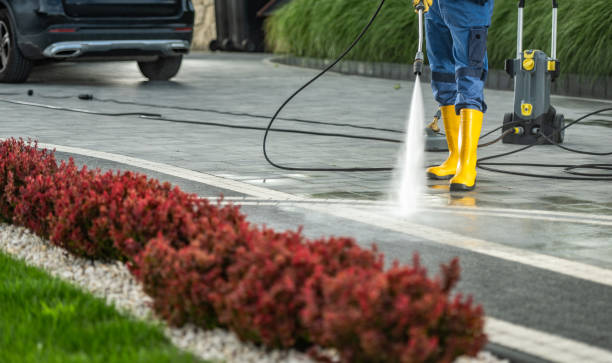 Best Driveway Cleaning and Restoration in Gilbert, AZ